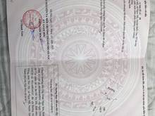 Hình ảnh Chính chủ cần bán 100m2 đất khu Trại Cá  Phú Mỹ - Ngọc Mỹ - Quốc Oai,