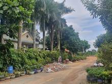 Hình ảnh 5162m2 Đất, 107m x 30m, Trung An, Củ Chi. Giá 15.6 tỷ