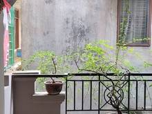 Hình ảnh Cực hot nhà ngõ 128 Đại La, giá 4 tỷ tròn, 35m2x4T, ở luôn, ngõ rộng