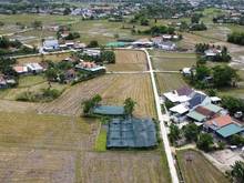 Hình ảnh Hoa hậu ninh giang chào tết 2023 chính chủ ra hàng