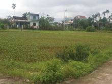 Hình ảnh Đất nền giá rẻ Điện Phước,Điện Bàn, Quảng Nam