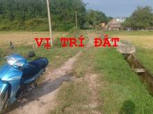 Hình ảnh Bán đất Củ Chi 300m2 đất trồng cây, 350 triệu ( thật 100%).(Đo 12/12)
