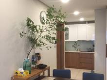 Hình ảnh Bán Trang Chủ MB66.COM / Đăng Ký Tặng 66K Rivera Park Thành Thái, Quận 10, 78m2, căn góc, giá 4.5 tỷ