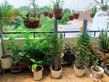 Hình ảnh Nhà bán trung tâm Thủ Đức,P Linh Trung,diện tích 56m2,giá 6.9 tỷ.