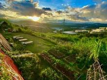 Hình ảnh Khu nghỉ dưỡng view săn mây ngoại ô TP Đà Lạt