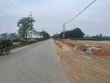 Hình ảnh Phân lô tại khu đấu giá Hiền Ninh Sóc Sơn Hà Nội.