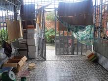 Hình ảnh Chỉ 11 tỷ 250m2 mặt tiền đường tiền lân 19 hóc môn