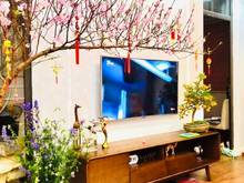 Hình ảnh Bán chung cư Hoa Đào Hotel 713 Lạc Long Quân, Tây Hồ_ Bán 3 tỷ 2