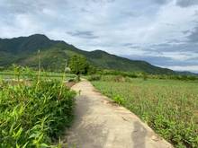 Hình ảnh Đất ven sông Cu Đê xã Hòa Bắc Huyện Hòa Vang