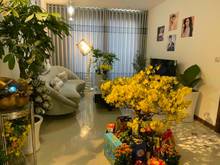 Hình ảnh Hà Đô Centrosa Quận 10 ✨Cho thuê Trang Chủ MB66.COM / Đăng Ký Tặng 66K 2 phòng ngủ + đa năng