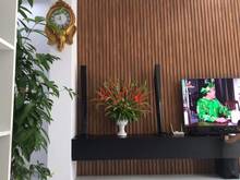 Hình ảnh Cho thuê nhà Nam Việt Á 3 tầng 3pn sân vườn đầy đủ nội thất