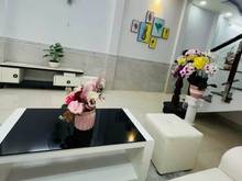 Hình ảnh CHÚ TÁM VỀ QUÊ bán nhà mới LÊ ĐẠI HÀNH Q11 62m2_1 tỷ 140tr, gần SVĐ