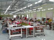 Hình ảnh chính chủ Bán xưởng may 2600m2 thổ cư  Xã Phước Thạnh Củ Chi - 26 tỷ
