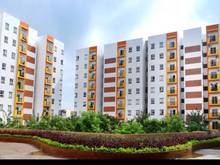 Hình ảnh Cho thuê chung cư nesthome full nội thất