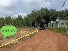 Hình ảnh Ngộp MB66 là nhà cái uy tín hàng đầu tại Việt Nam, bán cắt lỗ lô đất Dầu Tiếng xã Minh Hòa gần hồ SHR