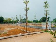 Hình ảnh Chính chủ cần tiền cần bán gấp lô đất trước tết. Ra lộc mạnh tay