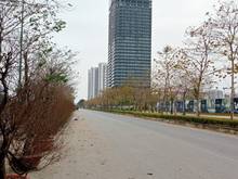 Hình ảnh Bán Đất 175m2, Phú Thượng, Tây Hồ, MT15m, Ô TÔ KD, giá 24 tỷ