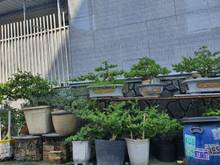 Hình ảnh Nhà gấp bán 46m2 giá 2 tỷ 400tr, ngay ngã tư linh xuân thủ đức