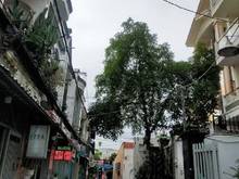 Hình ảnh Nhà nở hậu 1T1L mặt tiền đường, gần ĐH Công nghiệp Thực phẩm TP.HCM