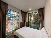 Hình ảnh ✅Căn Hộ Cao Cấp 2 Phòng Ngủ _ Đẹp như khu vườn cổ tích_ Full Nội Thất✅