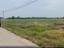 Hình ảnh Đất KCN Becamex , Sào 1000m2, Giá rẻ. Chơn Thành , Bình Phước.