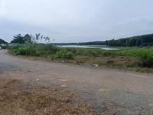 Hình ảnh Chính chủ bán đất Thổ Cư Giá Rẻ 1300m2, gần chợ, Hớn Quản, Bình Phước.