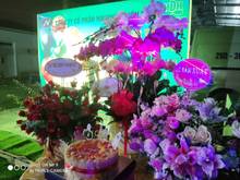 Hình ảnh Bán nhà đường 13, phước bình, quận 9