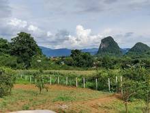 Hình ảnh Chính chủ cần bán gấp 3800m ngay ủy ban, có 1700m thổ cư Bắc Phong Cao