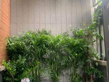 Hình ảnh Bán gấp nhà hxh 60m2 ngang 4m nhà mới ở ngay