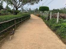 Hình ảnh Bán đất Tam Xuân 1, gần Quốc lộ 1