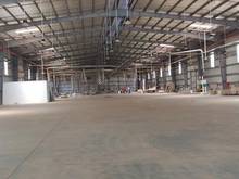 Hình ảnh Cho thuê xưởng TDT 20.000 m2 m, X 14.000 m2 KCN Long giang, Tiền giang
