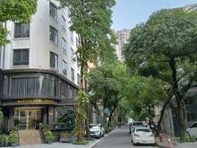 Hình ảnh 98m2,trần duy hưng, cầu giấy, 5t, mt18m, lô góc 2 mặt tiền, giá 56tỷ.