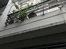 Hình ảnh Về quê ở bán nhà Mai Xuân Thưởng Quận 6 giá 970 triệu 42m2 SHR