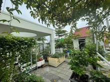Hình ảnh Chỉ 33 tỷ có nhà MTKD Đỉnh Lê Đức Thọ, 200m2, ngang 6.5m 4 lầu gần chợ