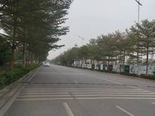 Hình ảnh Đường 13.5m - Bán đất tặng nhà 3 tầng Thạch Bàn, Long biên