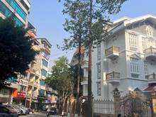 Hình ảnh Bán Đất Mặt Phố Liễu Giai, 332m2, Lô Góc, mặt tiền 11m