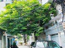 Hình ảnh 120m2 (7.5 x17m), Đông Nam, Bạch Đằng, P2 Tân Bình