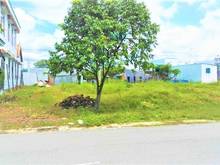 Hình ảnh 300m2 Đất Thổ Cư Bình Dương Đường nhựa 16m,Sát KCN Viet Sing Thông Chợ
