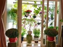Hình ảnh Cho thuê CH NT MỚI The EverRich I, 115m2, 3PN, 2WC, Full NT. Giá: 23tr