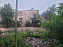 Hình ảnh Cho thuê đất mt kênh tx33, có điện nước