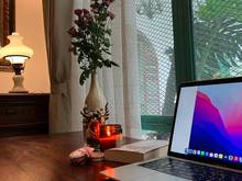Hình ảnh 🌈C.Hộ Studio Ban Công Sân Vườn Không Giang Chung Cổ Điễn Thảo Điền Q2