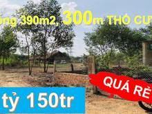 Hình ảnh THUA LỖ NẶNG bán gấp 390m2. Sẵn 300m thổ cư
