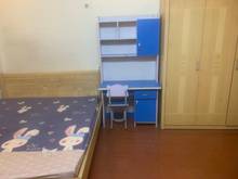 Hình ảnh nhà mp nguyễn an ninh, dt 35mx4t, kd spa, 12tr/tháng