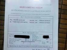 Hình ảnh Cấn Bán Gấp Căn : Phạm Văn Hai , P3 Q.Tân Bình ( Dt: 42,42 m2 ) 1T1L