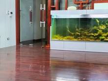 Hình ảnh Cho thuê nhà phố Nguyễn Xiển 78m2*5 tầng, Vp, Spa, 30tr