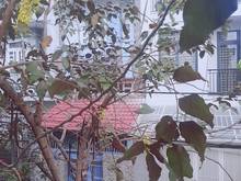 Hình ảnh Bán nhà 2 hẻm xe hơi Gò Xoài Bình Tân 6x23mx2T 3PN nhỉnh 5 tỷ.