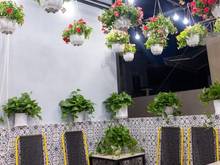 Hình ảnh Chính chủ bán gấp ! MT Trần Hưng Đạo, Quận 1 - 8x12m - Chỉ 24 tỷ