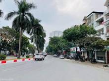 Hình ảnh Cho thuê gấp căn Liền Kề Khu đô thị Văn quán, 100m x 4 tầng, MT: 5m