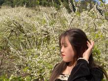 Hình ảnh 💐 Mảnh đất có diện tích khoảng 922m2