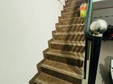 Hình ảnh Bán nhà hxh Đường Hoàng Diệu 2, Linh Trung, Thủ Đức, dòng tiền 22tr/th